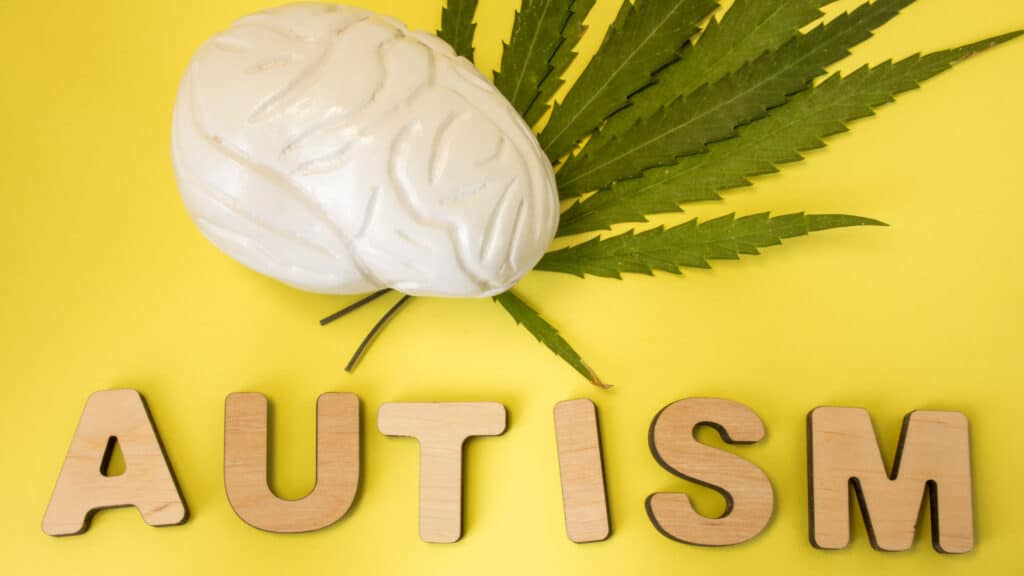 Cannabinthusiast | TV review: “Weed 6” with Dr. Sanjay Gupta: Marijuana and Autism