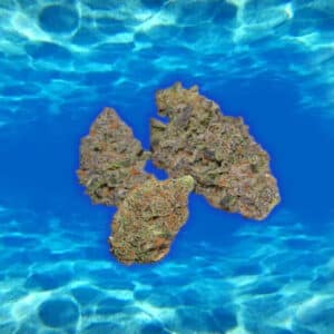 Cannabinthusiast | Medical Marijuana review: Blue Chem Cookies
