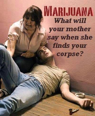 Cannabinthusiast | Mother Will Say Meme
