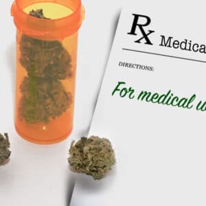 Quick & Easy: Louisiana Medical Marijuana Recommendations via Elevate Holistics