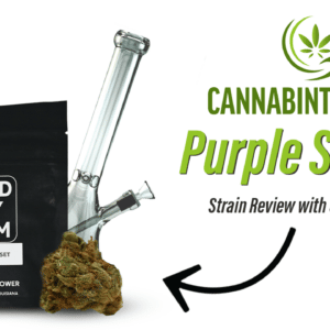 Cannabinthusiast | Video Medical Marijuana review: Purple Sunset with Combustion