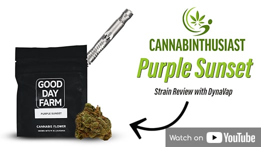 Cannabinthusiast | Video Medical Marijuana review: Purple Sunset with Dynavap