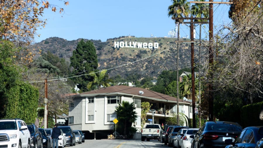 Cannabinthusiast | Los Angeles Part One: The Land of Weed and Money - Hollywood