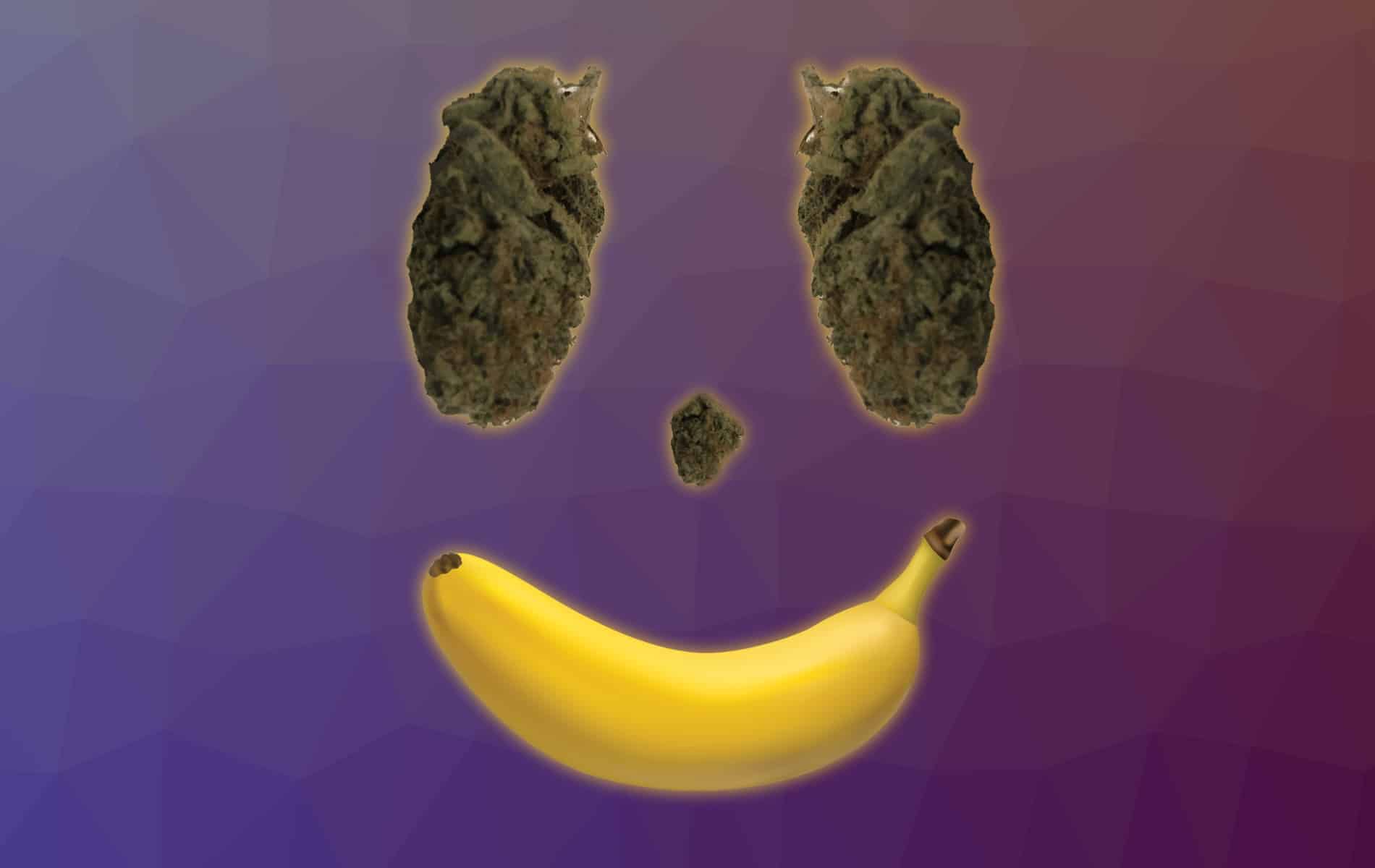 Cannabinthusiast | Medical Marijuana review: Banana Mac | Banana Mac Man