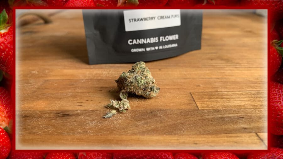 Cannabinthusiast | Medical Marijuana review: Strawberry Cream Puffs | Flower
