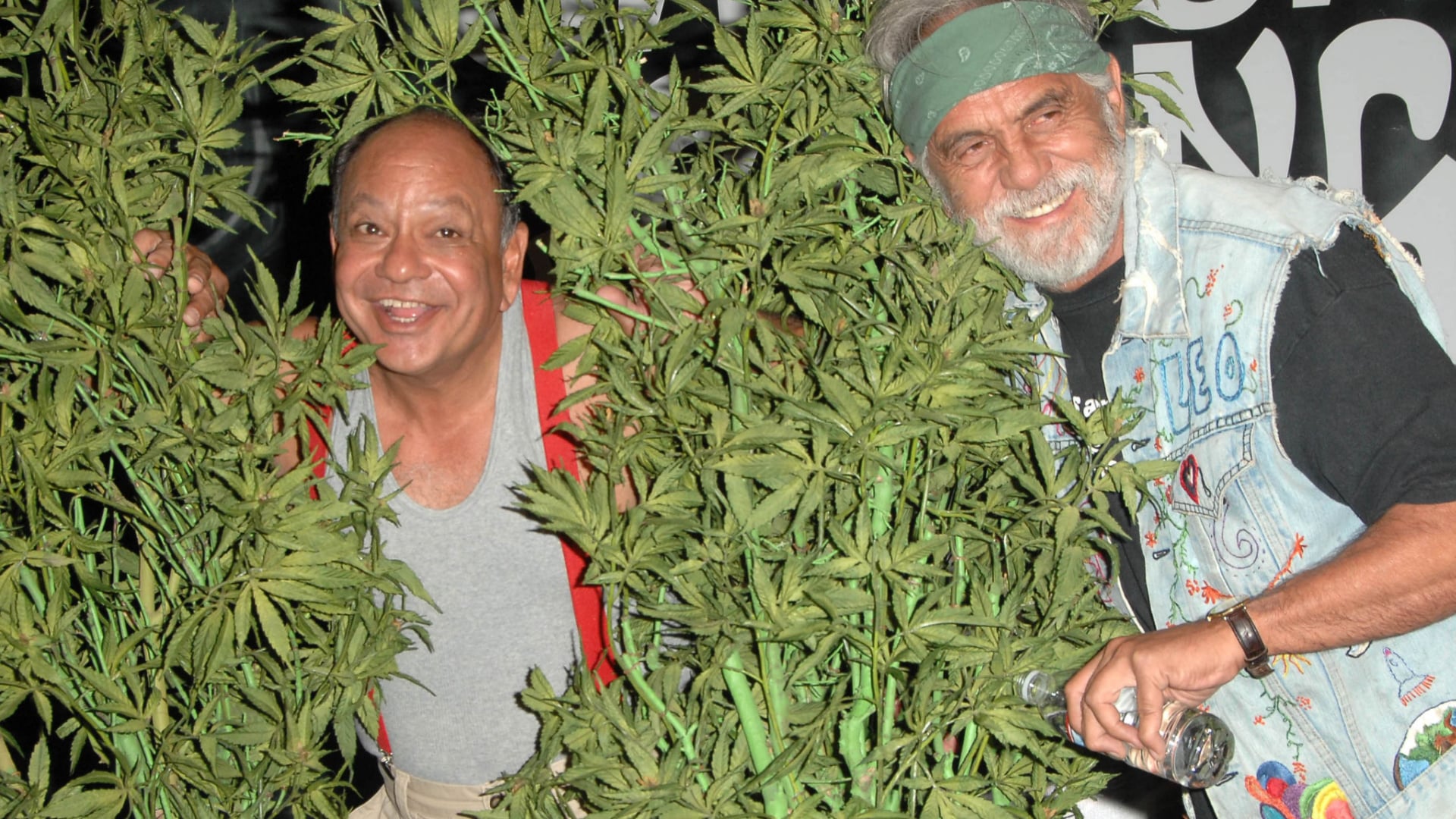 Cannabinthusiast | Cheech & Chong: From Funny to Lame to Essential - Cheech Marin and Tommy Chong