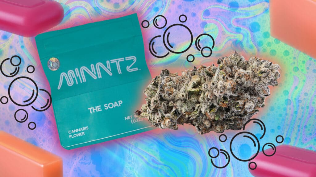 Cannabinthusiast | Medical Marijuana Review: The Soap