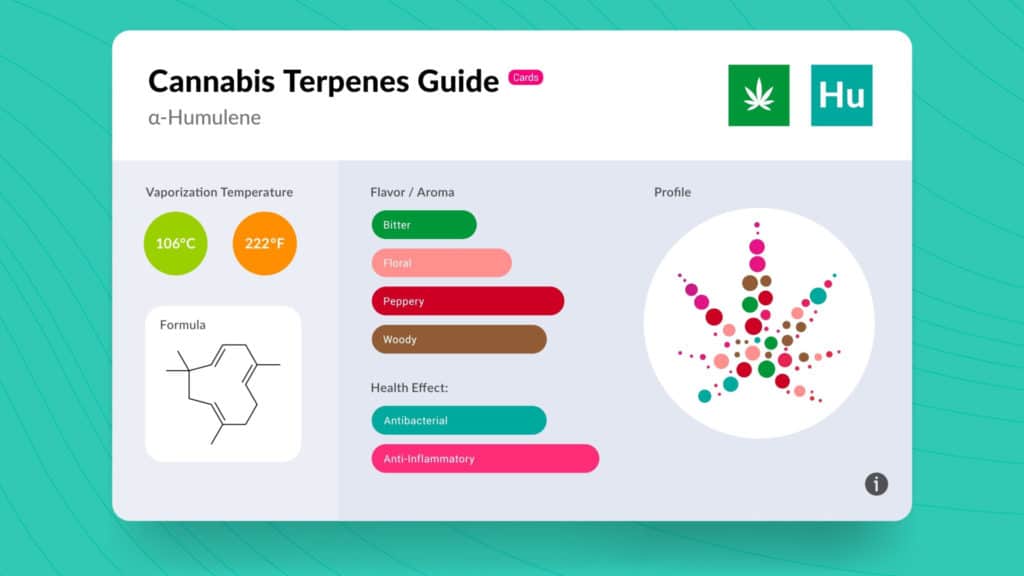 Cannabinthusiast | Terpene Talk: Humulene