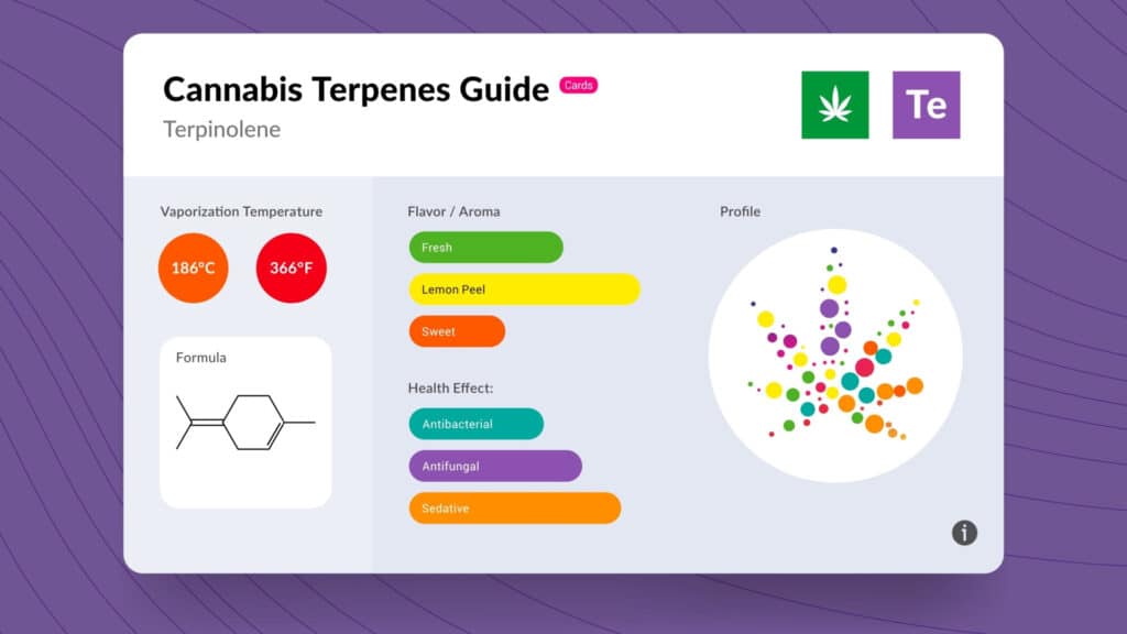 Cannabinthusiast | Terpene Talk: Terpinolene