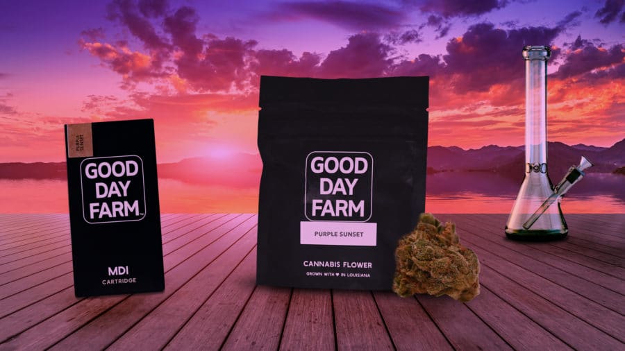 Cannabinthusiast | Medical Marijuana Review: Purple Sunset