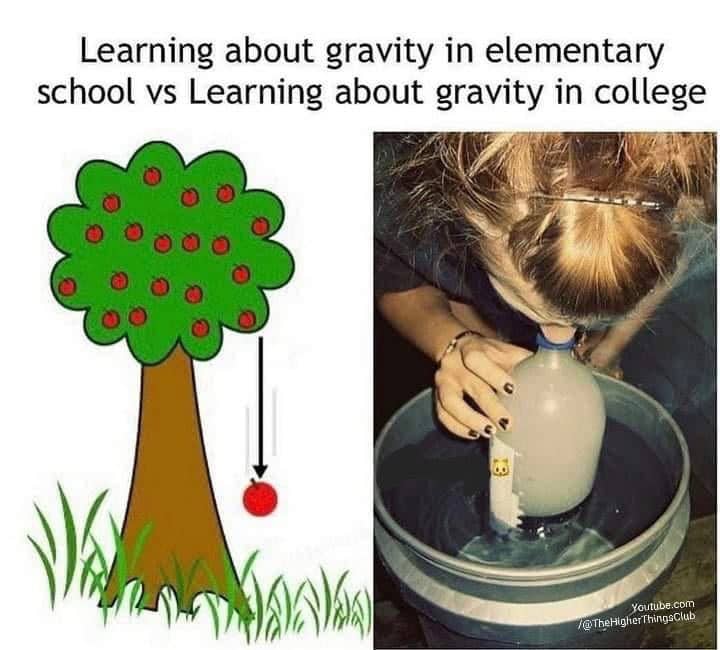 Cannabinthusiast | Dank Memes | Gravity Lesson