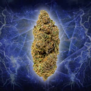 Medical Marijuana review: Power Bar