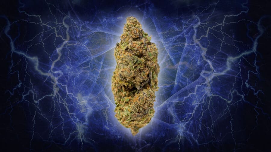Cannabinthusiast | Medical Marijuana review: Power Bar